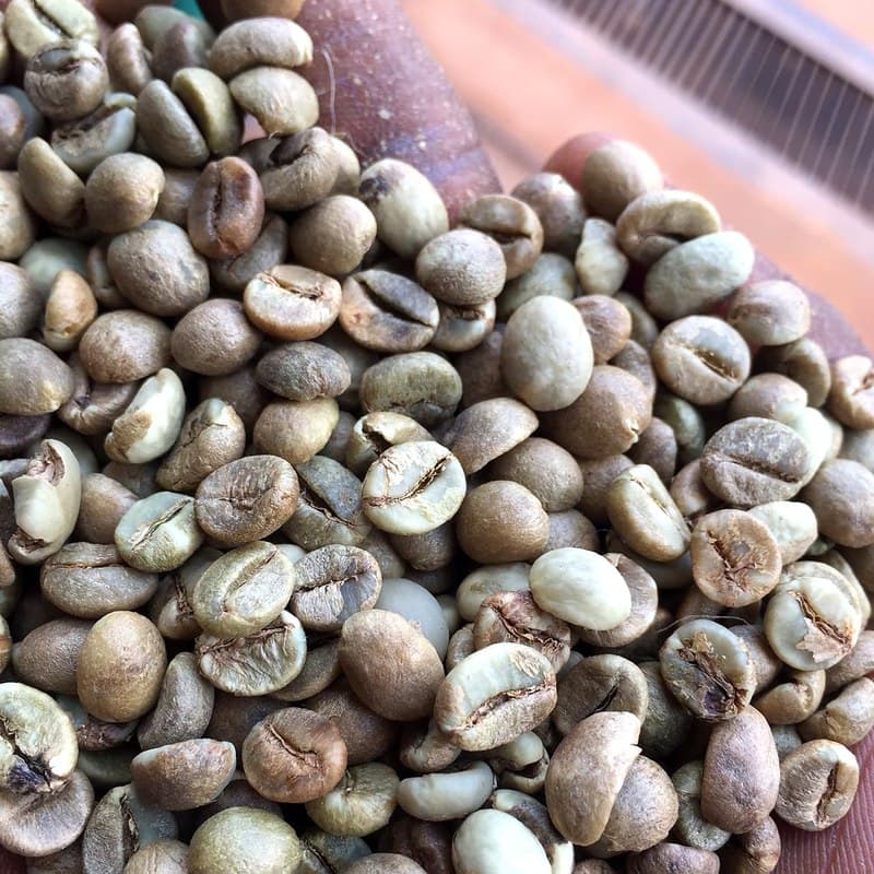 Robusta Grade 15 green coffee beans — Uganda